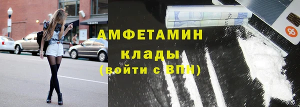 прущие грибы Беломорск
