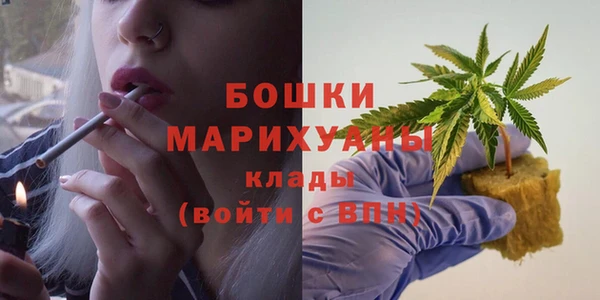 прущие грибы Беломорск