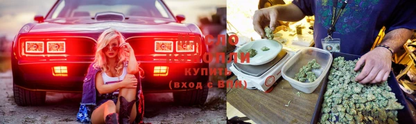 прущие грибы Беломорск