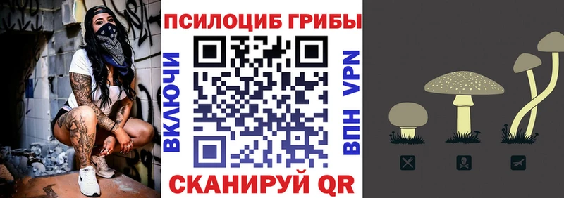 Псилоцибиновые грибы Psilocybe  магазин  наркотиков  Валуйки 