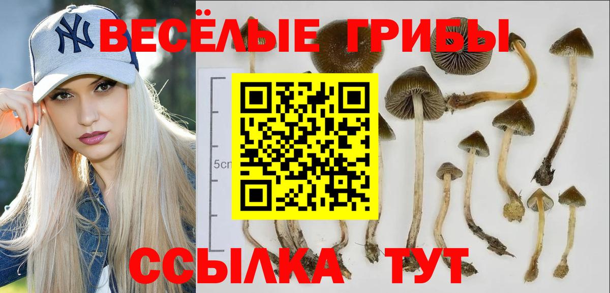 Псилоцибиновые грибы мухоморы Валуйки